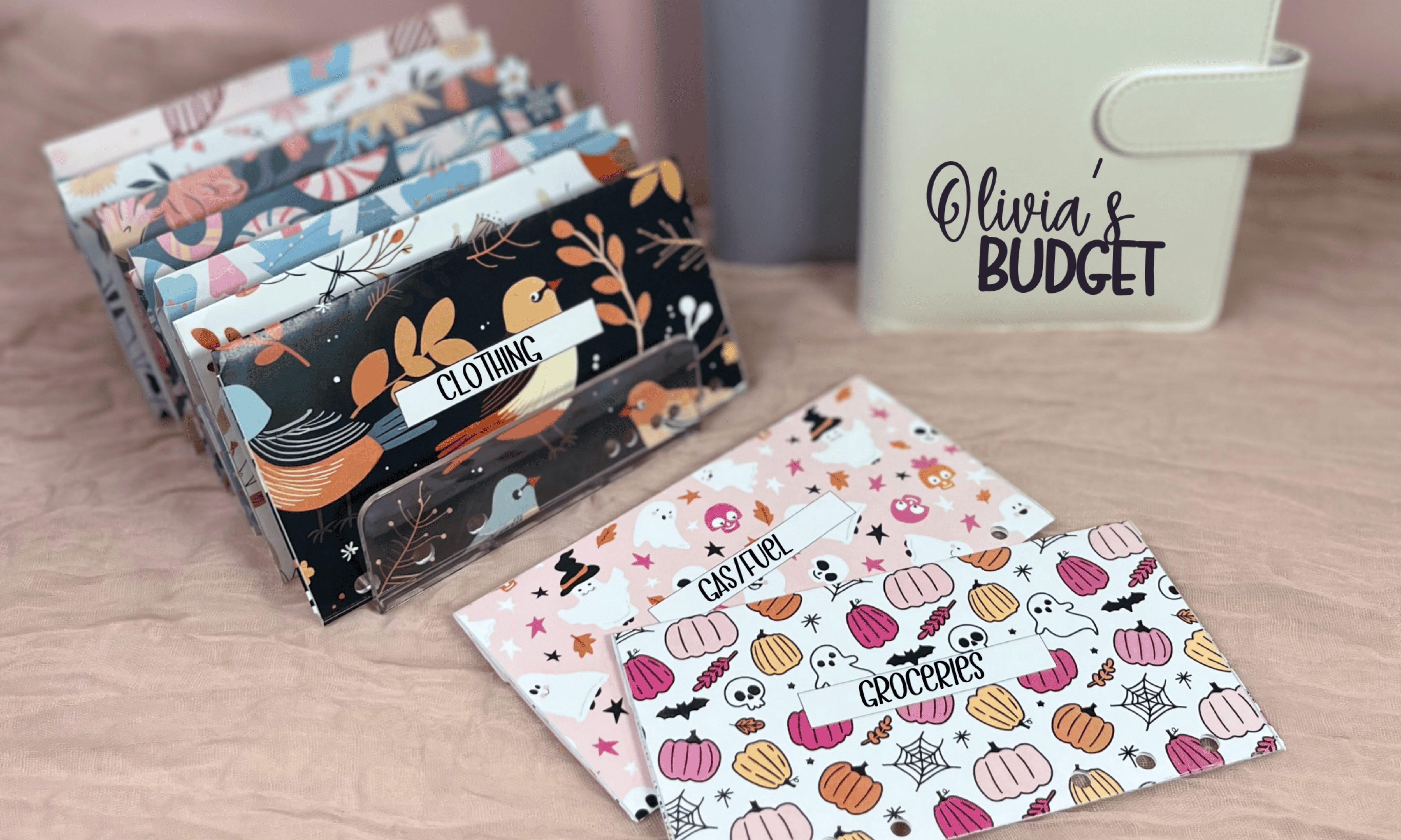 Cash Envelope Binder Set with Themed cash envelopes