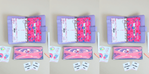 Binder Kit layed out on flat surface - Budget Binder Kits for a Teen